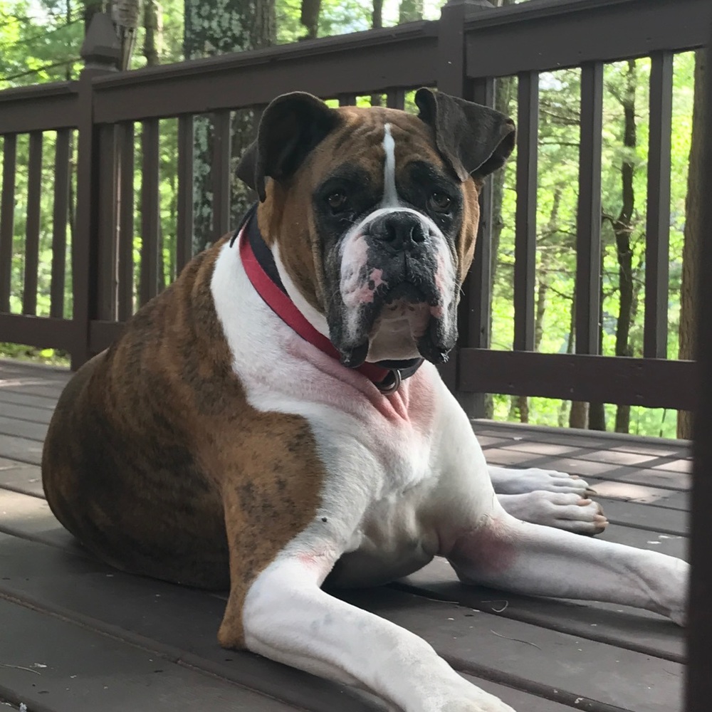 Meet your Posher, Becky